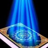 user4570211835848