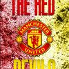 manchesterisred.dza