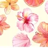 flower_spam_acc