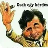 samsonzoli