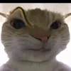 caclonmejmay