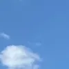 jamxs_18