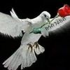 brhaneyohannes4