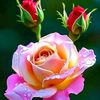_shathi_12