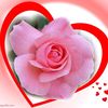 user4010579433745