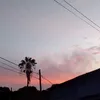 _hylxrr_