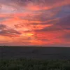 ros3_f