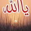 user74440061057952