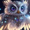 midnightowl4real_