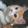 yasorarsi0