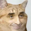 ayooubqassi