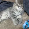 itsathar4
