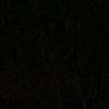 .sanadiii.spam