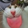 ellahah121