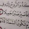 haneenesmail35