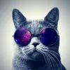 tararwve7bb