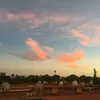 unknown_11150