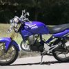 pengguna_tiger2000