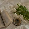 lexs.books