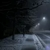 nataliia_zerebko
