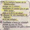 rodriguezala6