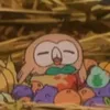the_real_rowlet_