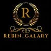 rebin_galary