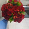 user8530611061546