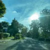 bellingham1005