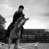 ellie.eq15