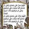 raohabibullah33