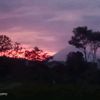 wong_tulospp