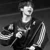 .stray.kids7529