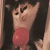 nita69angelw