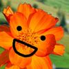 sirpeacefulnot