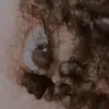 jcxevin