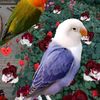 segy1254123654825