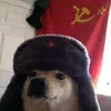 socialistagostoso