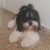 lejobeta