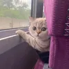 someone__6789