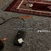 ahmedashour5016