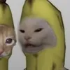 quava14