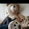 user8441798334123