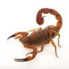alkossofi235