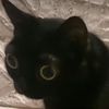 zaramckay9