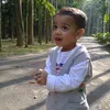 sayedbukhari311_