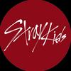 realstraykids_1