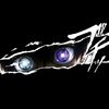 team_pasra.anti_..gedor