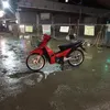 waveistreebike
