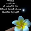 shani89940